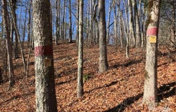 Saturn Way, Topton, NC 28781