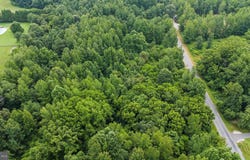 BURNT MILL Road, RIDGELY, MD 21660