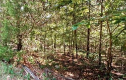 901 Primrose Lane, Horseshoe Bend, AR 72512