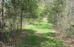 Carlos Road, Sneedville, TN 37869