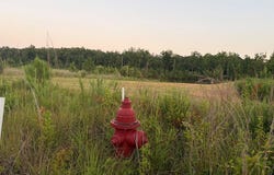 CR 251, OXFORD, MS 38655