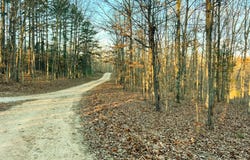 TBD County Road O-A, Mountain View, MO 65548