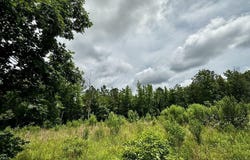TBD Dream Lane, Wickes, AR 71973