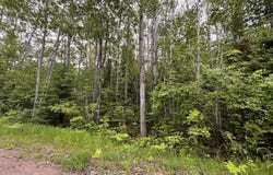 4593& 4613 Kalua Drive, Indian River, MI 49749