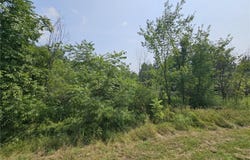 Cr-37, West Monroe, NY 13167