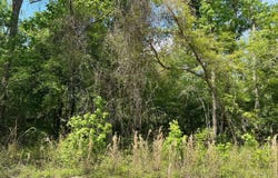 LT112 246TH TRAIL, OBrien, FL 32071