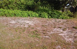 306 MAIN STREET, SEBASTIAN, FL 32958