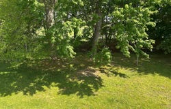 248 CLUB HOUSE DRIVE, WILLINGBORO, NJ 08046