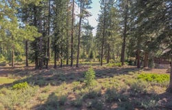 11349 China Camp Road, Truckee, CA 96161