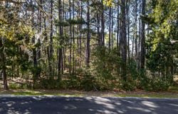 Luvan Blvd. lot: 18, Georgetown, SC 29440