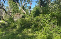 TBD RIVER ROAD, Live Oak, FL 32060