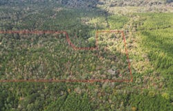 222 Byrd Road, Pinola, MS 39149