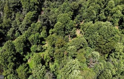 4439 SLATE RIDGE ROAD, WHITEFORD, MD 21160