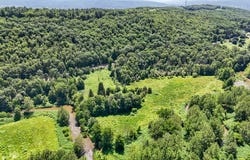 1517 Nanticoke Dr. Drive, ENDICOTT, NY 13760