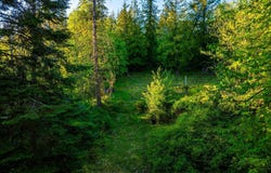 Lot F11 S Idaho Club Dr, Sandpoint, ID 83864