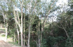 TBD Beltrane Drive, Yankton, SD 57078