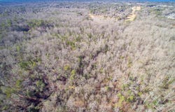Morgan Drive, Lexington, SC 29072