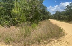 7 SHAPPELL Avenue, Interlachen, FL 32148