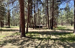 35819 S Chiloquin Road, Chiloquin, OR 97624