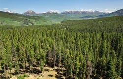 5350 Wildcat Trail, Crested Butte, CO 81224