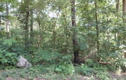 buckboard Road, Ozark Acres, AR 72482