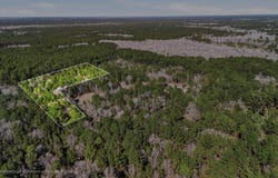 Gertie Lane, Cordesville, SC 29434