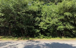 0 N Hicks, Conyers, GA 30012
