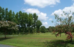 NANDUA HEIGHTS lot: 1, ONANCOCK, VA 23417