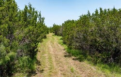 3048 CR 2800, Kopperl, TX 76652