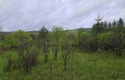 8932 Stout Road, Cuba, NY 14727