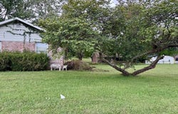 3532 Sullivan Rd, Tell City, IN 47586