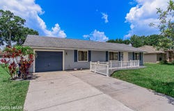 1724 Umbrella Tree Drive, Edgewater, FL 32132