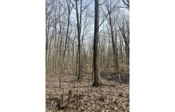 V/L Sycamore Street, Grand Junction, MI 49056