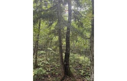 TBD 1-10 Tikka Road, Ontonagon, MI 49953