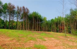 7 & 8 Mountain View Road, King, NC 27021
