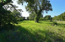 Tbd 1 Cobb Hollow Road, Saint Jo, TX 76265
