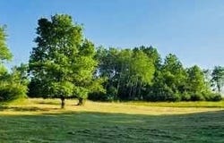 1711 14 Mile Road, Marion, MI 49665