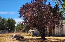 0 Grand Avenue, Oroville, CA 95965