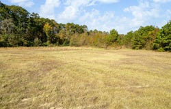 7697 N State HWY 155, Gilmer, TX 75644