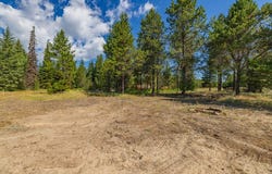 12982 Ponderosa Drive, Donnelly, ID 83615