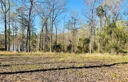 208 Dogwood Circle, Abbeville, AL 36310