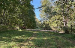 W HOOVER RD lot: E, REVA, VA 22735