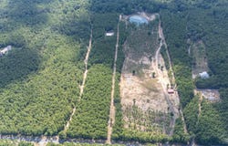 4047 Hidden Forest Trail, Pace, FL 32571