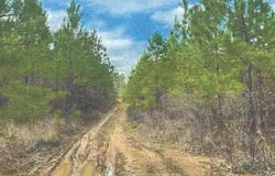 Attala County, Kosciusko, MS 39090
