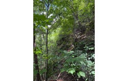 Tbd Buzzard Roost Ln, Hillsville, VA 24343