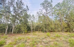SE 136th Terrace, Dunnellon, FL 34431