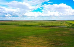 Tbd CR 463, Rule, TX 79547