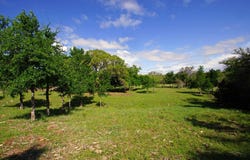Lot 48 Bridget CT, Briggs, TX 78608