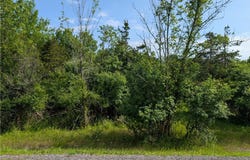 Middle Road, Brownville, NY 13615