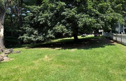LOT 1 S MAIN STREET, WOODSTOCK, VA 22664